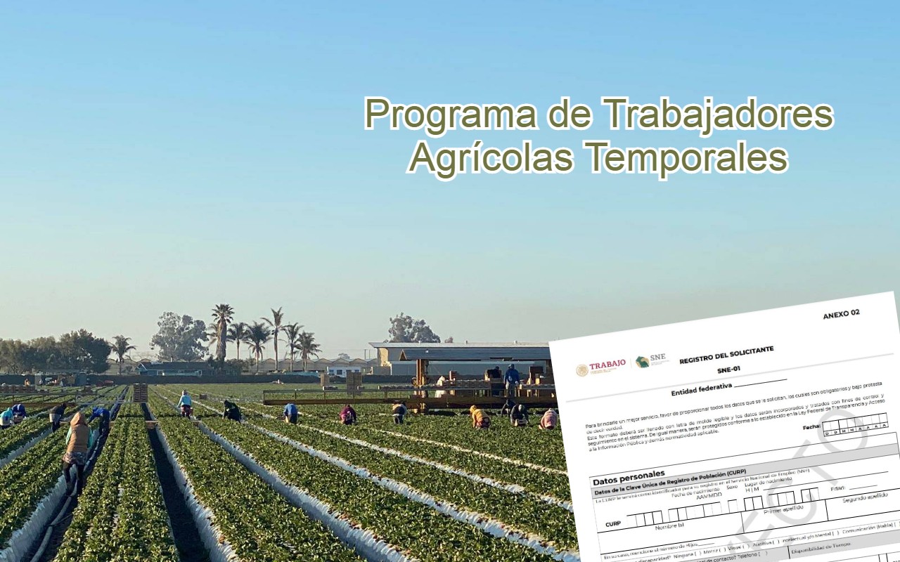 canada abre empleos agricolas para